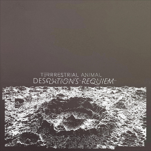 Desolation's Requiem (single)