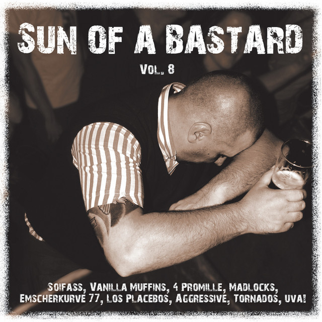 Sun Of A Bastard, Vol. 8 cover