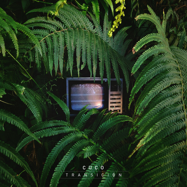 Transición cover art