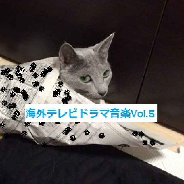 海外TVドラマ音楽VOL５