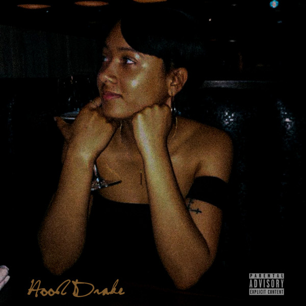 The Hood Drake, Vol. 1 (Deluxe) cover art