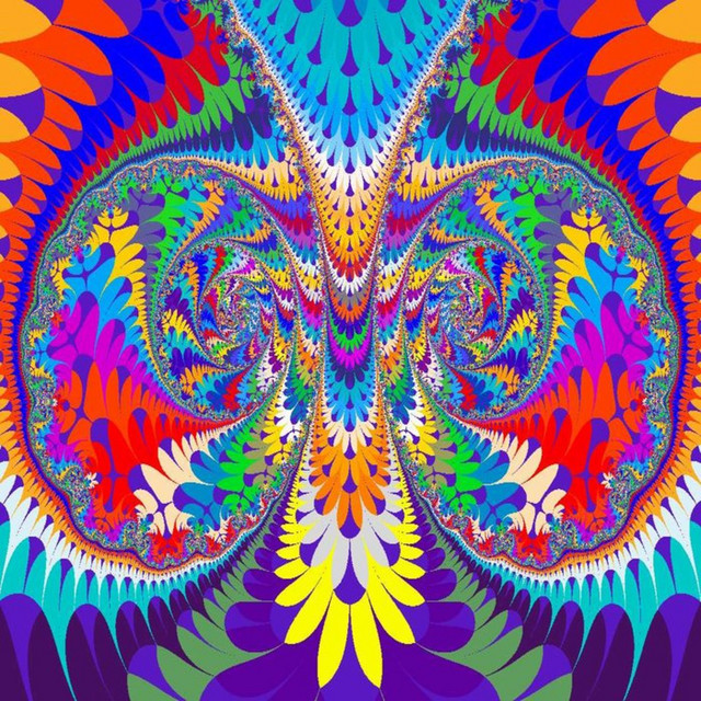 Fly