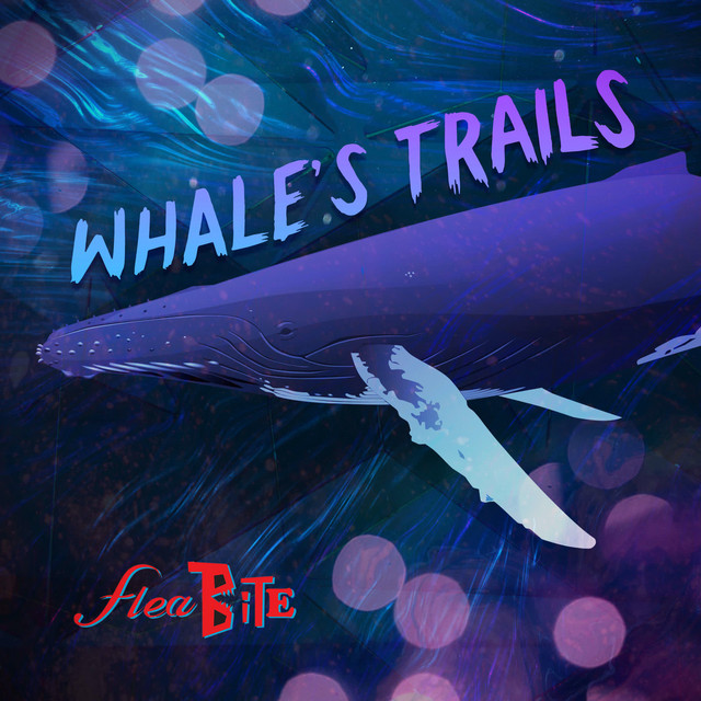 Whales' Trails