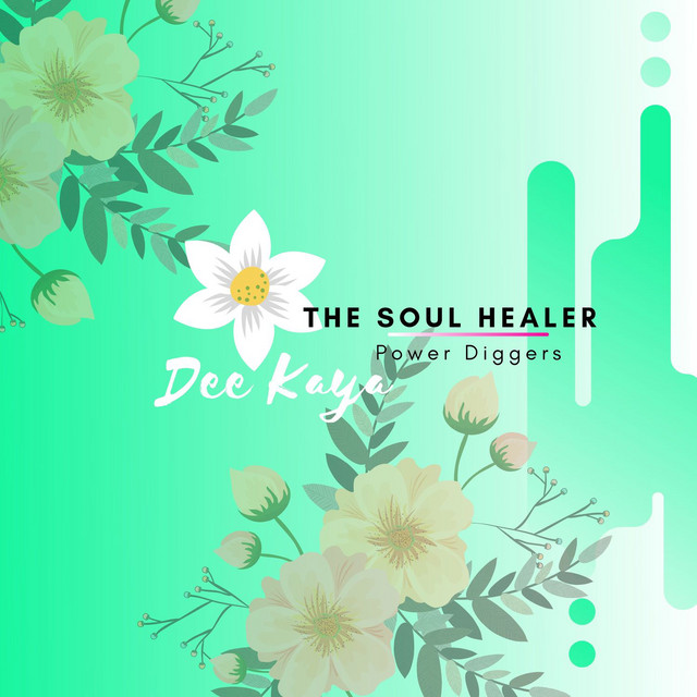 The Soul Healer cover art