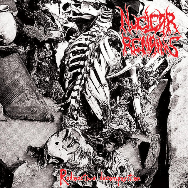 Radioactive Decomposition cover