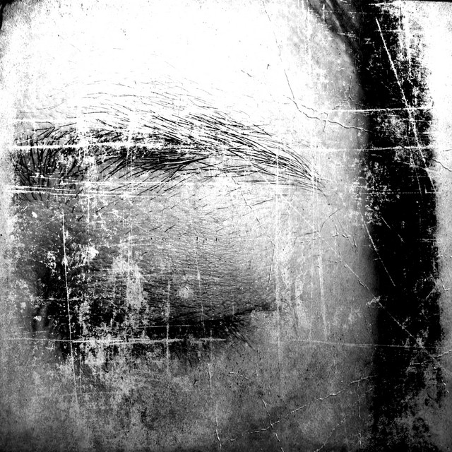 双葉双一 Photo