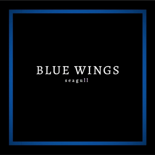 Blue Wings cover art