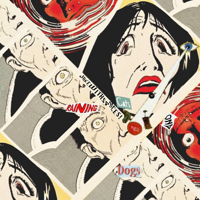 RAINING CATS AND DOGS cover art