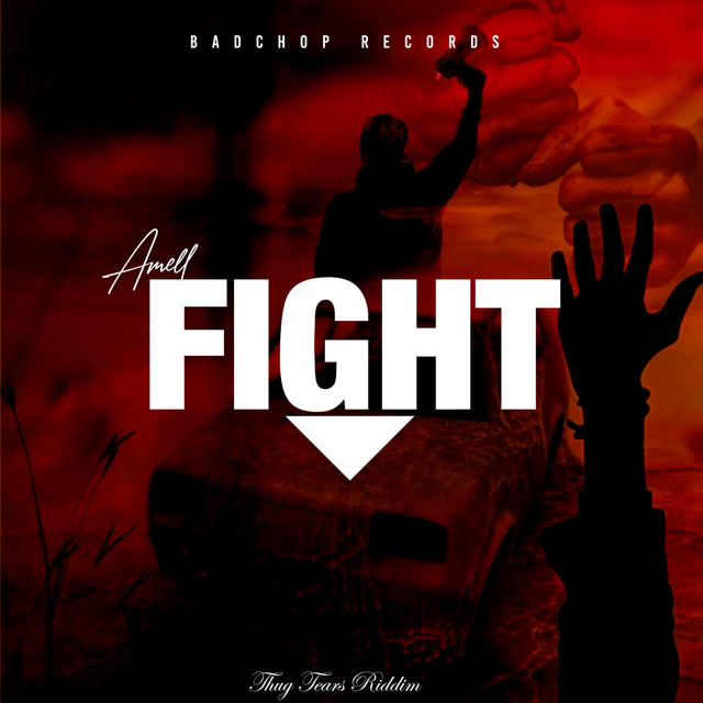Fight - Single by Amell | Spotify