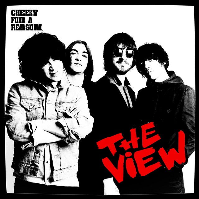 Cheeky for a Reason cover art
