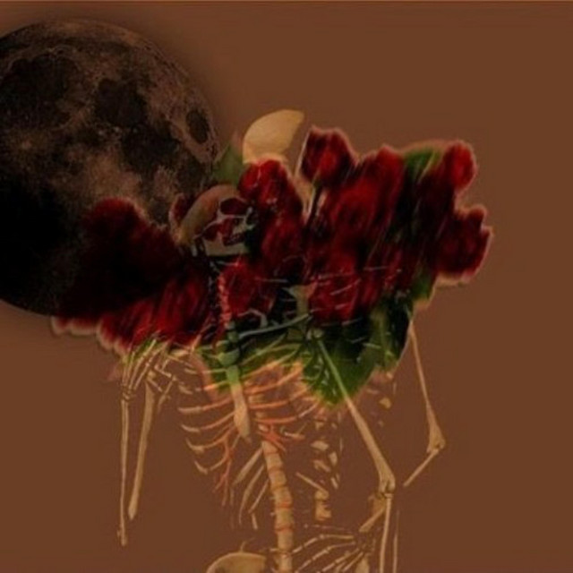 rest cover art