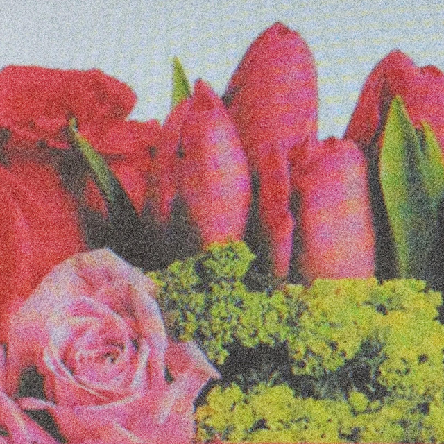 JOY II cover art