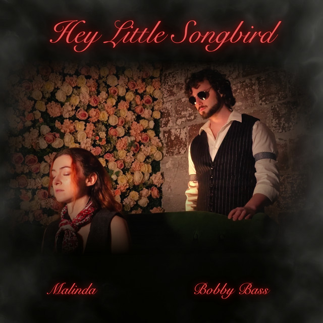 Hey, Little Songbird album image