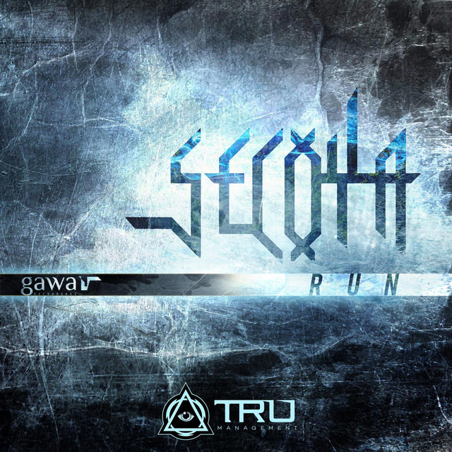 Run cover art