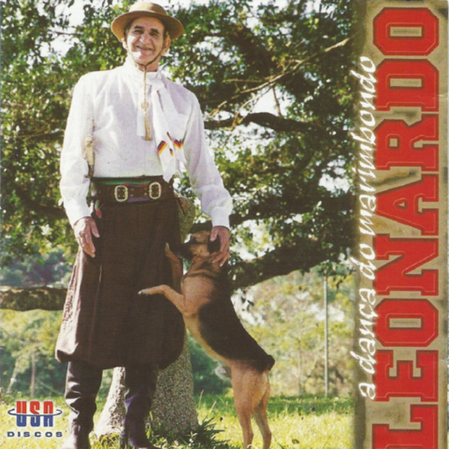 A DANÇA DO MARIMBONDO cover art
