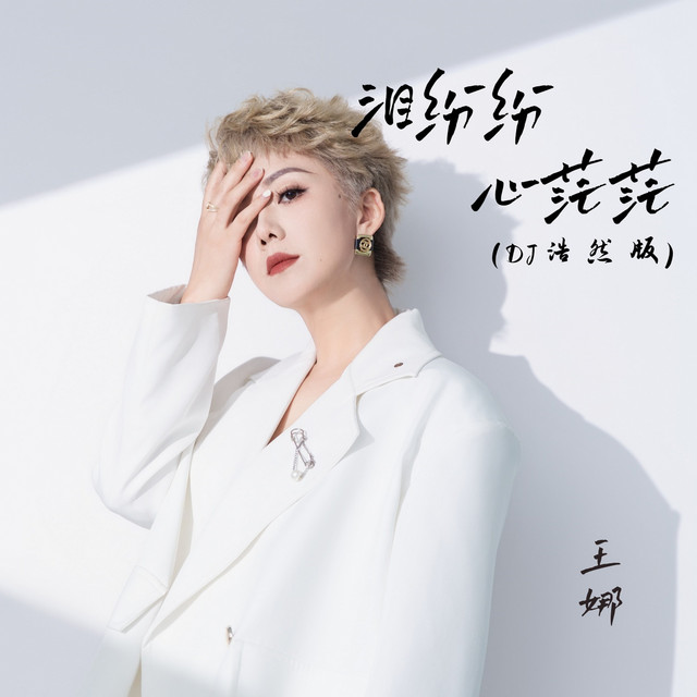 泪纷纷心茫茫(DJ浩然版) - Single by 王娜| Spotify