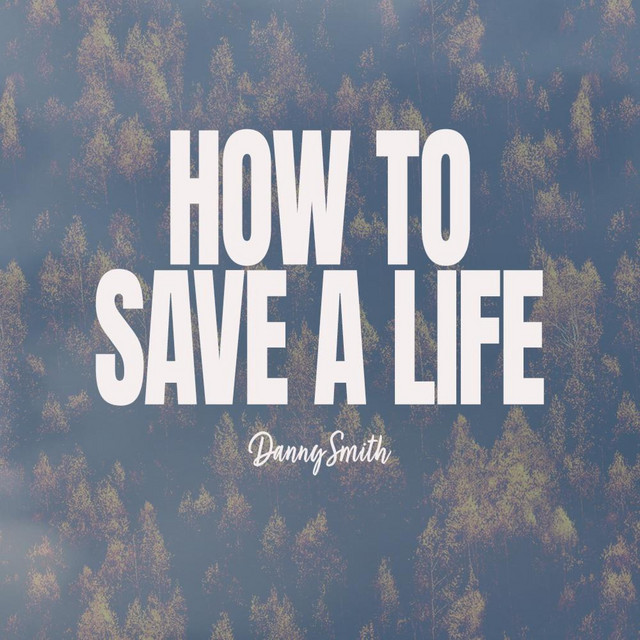 How To Save A Life cover