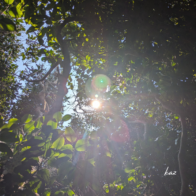 トニック - Band remix