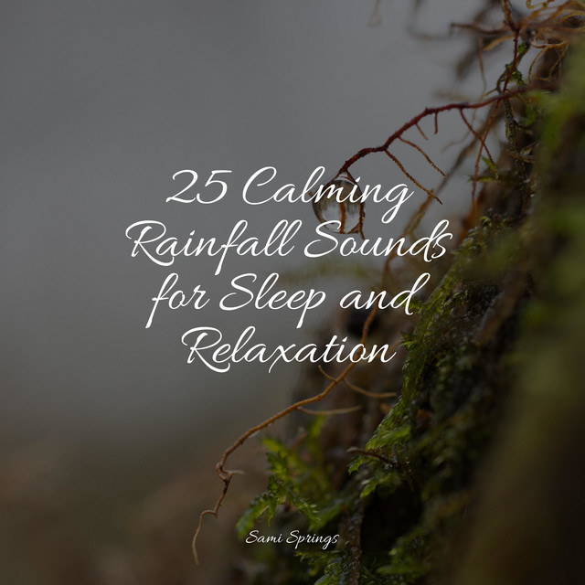 25 Calming Rainfall Sounds for Sleep and Relaxation cover art