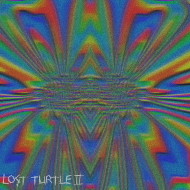 lost turtle ll cover art