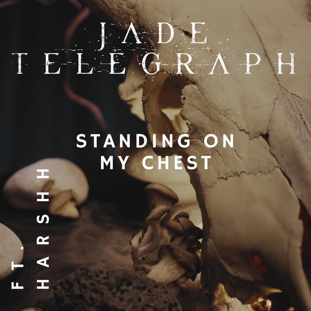 Standing On My Chest (single)