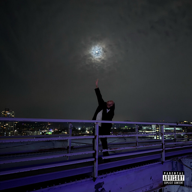 To Love Is To Fall cover art