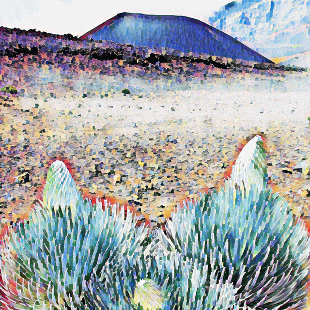 Argyroxiphium Sandwicense Subsp. Macrocephalum cover art