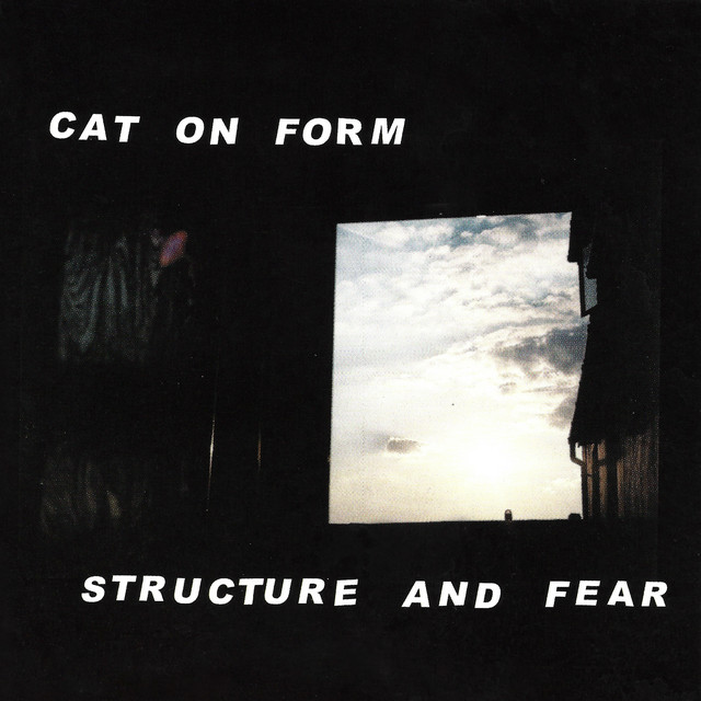 Cat On Form