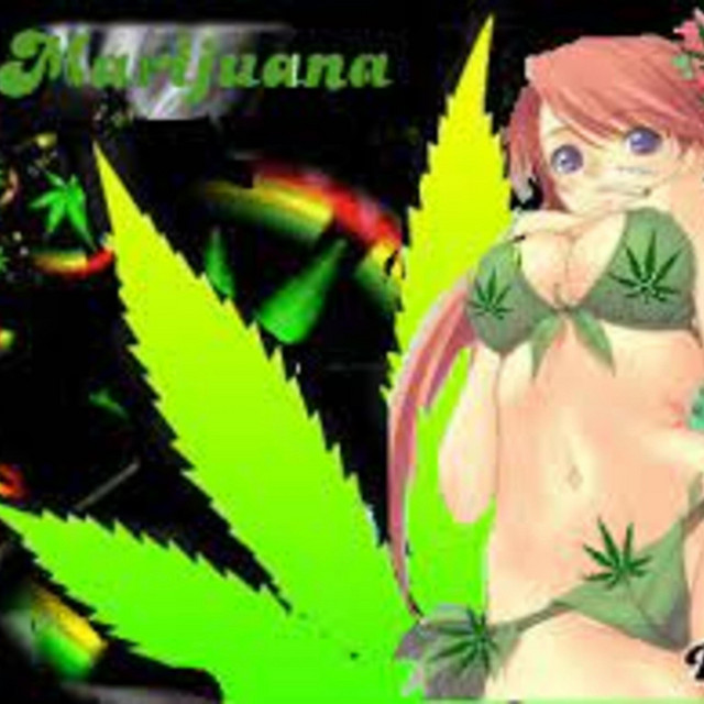 rollitup cover art