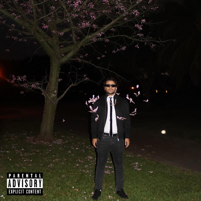 BLOSSOM cover art