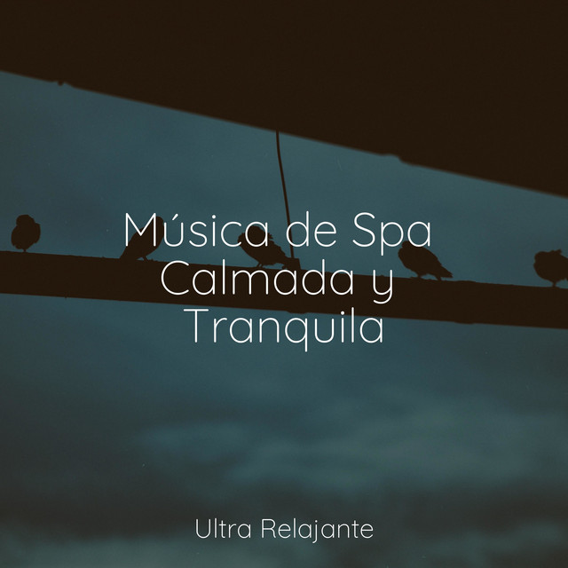 Música de Spa Calmada y Tranquila - Album by Dormir | Spotify