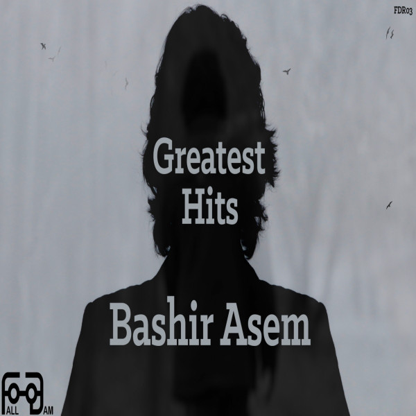 Bashir Asem