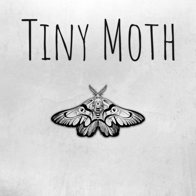 Tiny Moth cover art