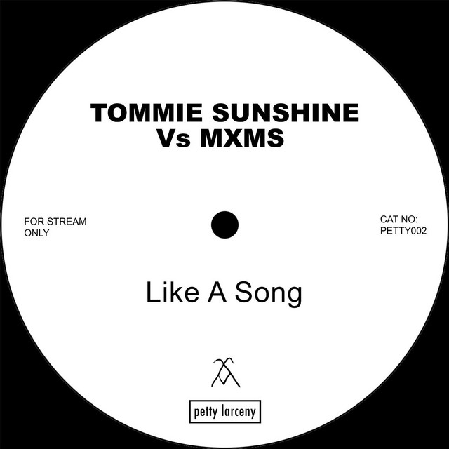 Like A Song (Vs MXMS)