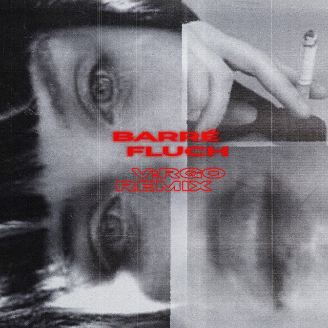 FLUCH (Remix) cover art