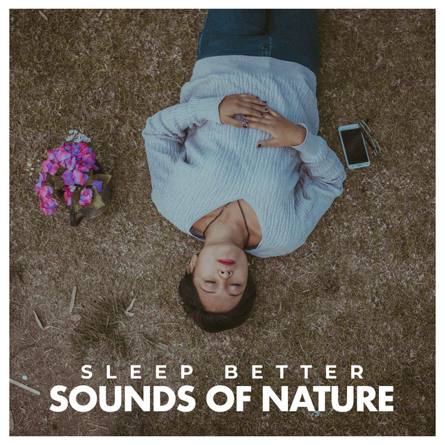 Sleep Better: Sounds of Nature - Album by Zen Music Garden | Spotify