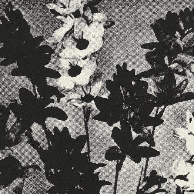 Village Creep cover art