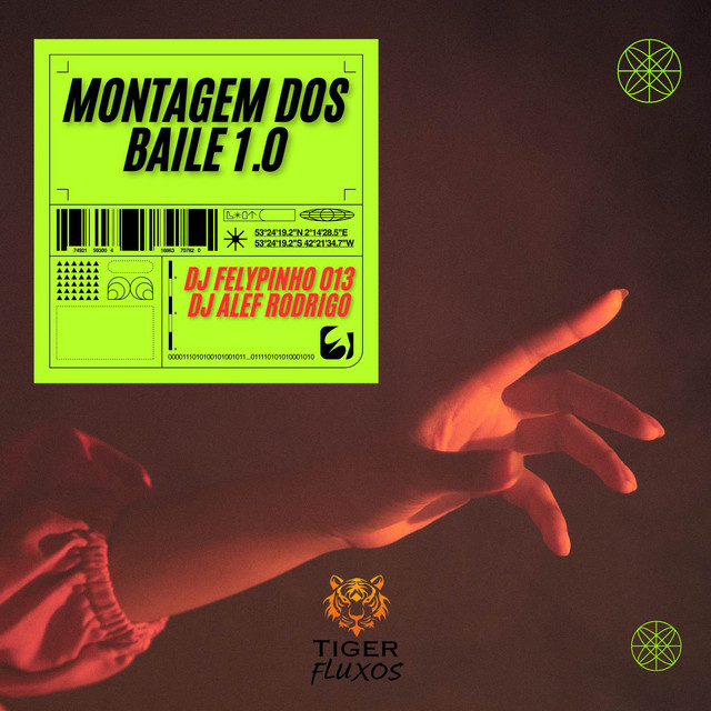 MONTAGEM DOS BAILE 1.0