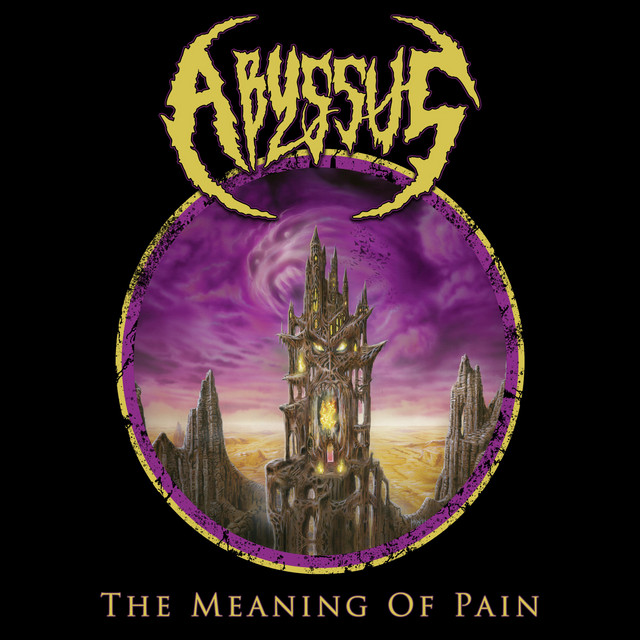 The Meaning of Pain cover