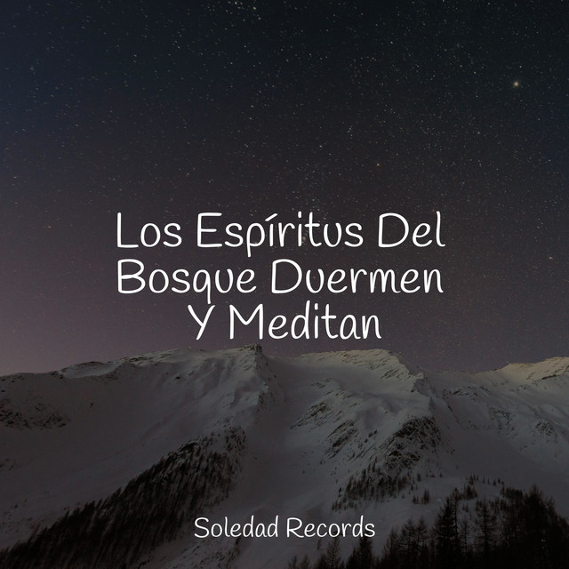 Los Espíritus Del Bosque Duermen Y Meditan