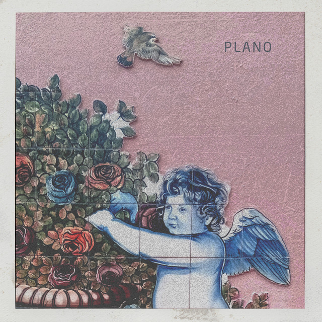Plano cover