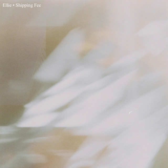 Shipping Fee cover art