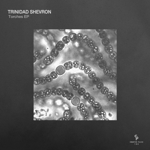 Cover art for Trinidad Shevron — Torches EP