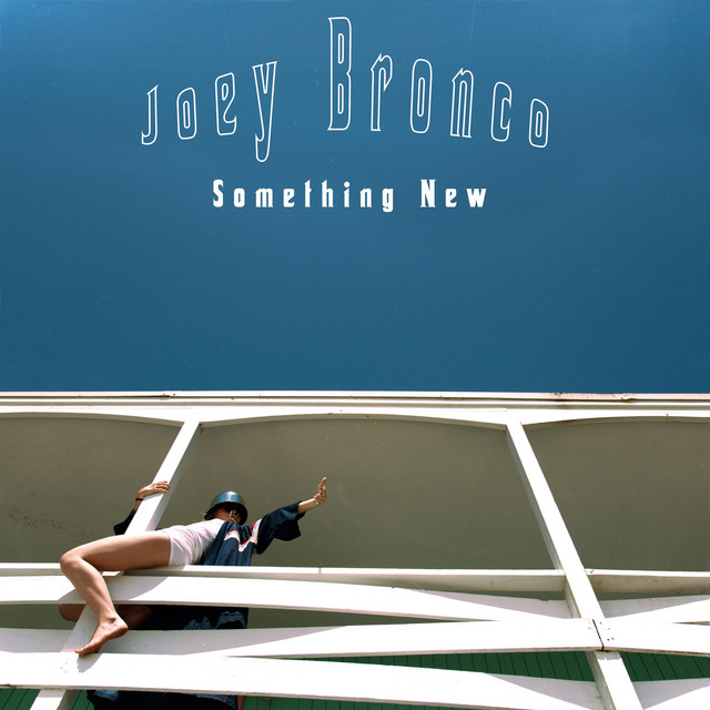 Something New cover art