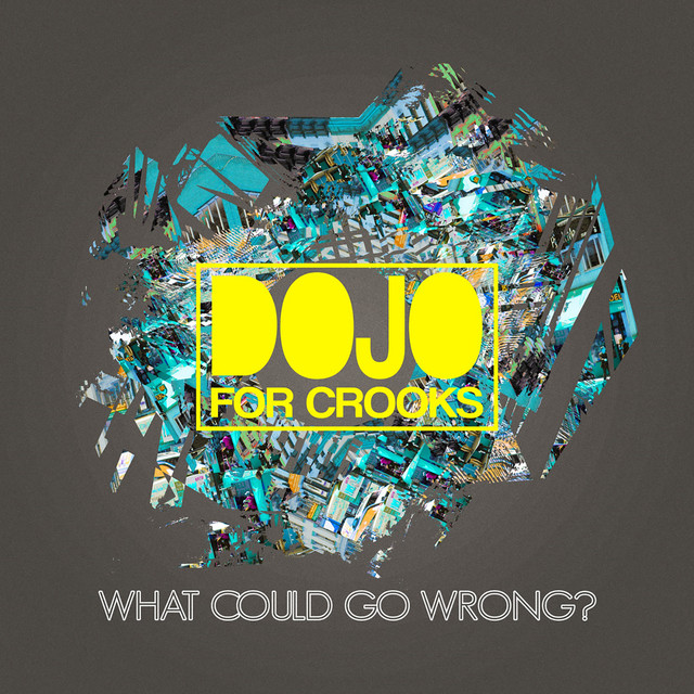 What Could Go Wrong? cover art