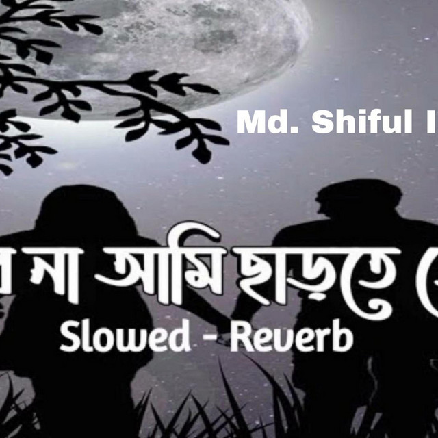 পারবো না আমি ছাড়তে তোকে। Parbo Na Ami Charte Toke (Lofi Slowed and ...