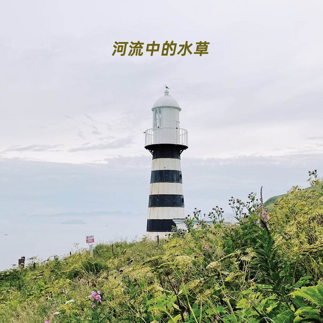 河流中的水草 Album By 王帧安 Spotify