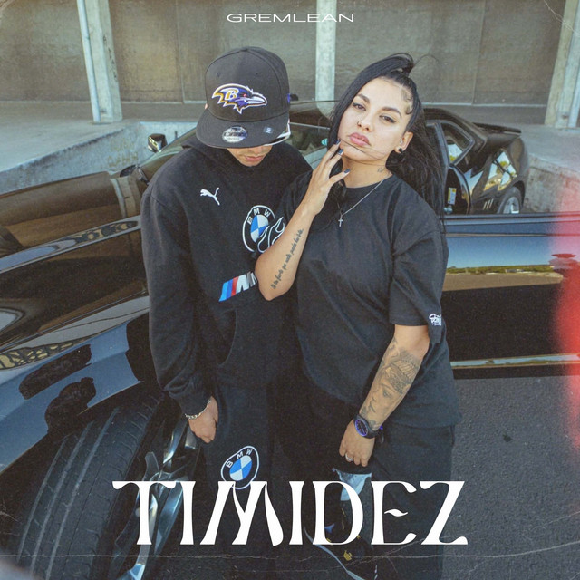 TIMIDEZ cover art