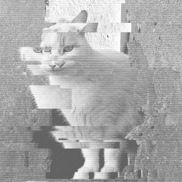 КОТАРАНА