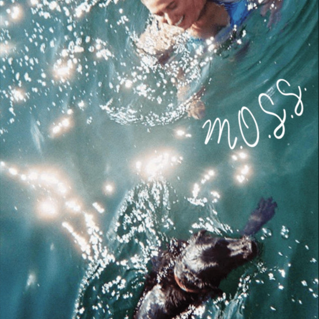 Youth Loser cover art
